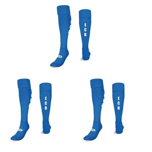 Sale: ECBAFC Sock Bundle