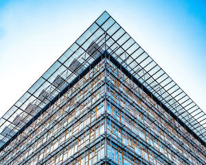 Products: Scaffold - Dynaton