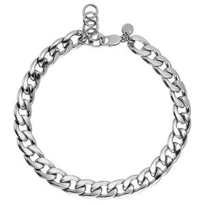 Summer 21: Jazz Shiny Silver Necklace