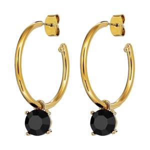 Diega Gold Earrings - Black