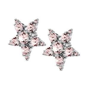 Gemini Shiny Silver Earrings - Vintage Rose