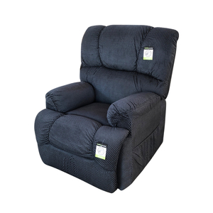 Products: Goldfern Electric Lift Chair