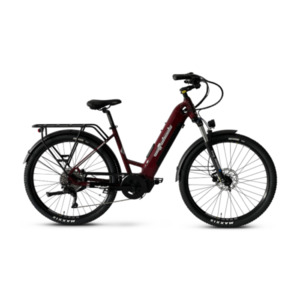 E Bikes: Wattwheels Bighorn LS V5 EBike