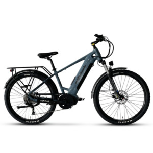 E Bikes: Wattwheels Bighorn S V4 EBike