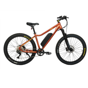E Bikes: Infinity HubDrive E-Mountain Bike
