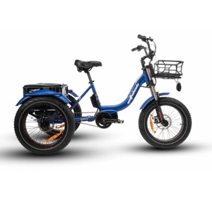 Products: Wattwheels Trike MD XT 2025
