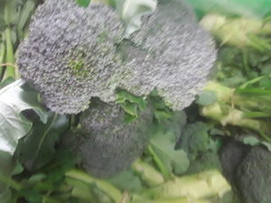 Organic Brocolli large Early Bird Organics