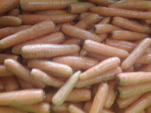 Products: Organic Carrots VALUE GRADE 1kg Early Bird Organics