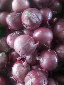 Organic Red Onions ea. large Early Bird Organics