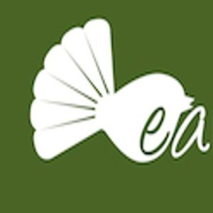 Organic White flour kg Early Bird Organics