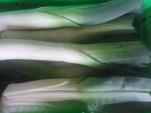 Products: Organic Leeks Early Bird Organics