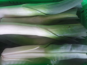 Products: Organic Baby Leek bdl new season Early Bird Organics
