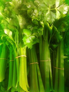 Products: Organic Celery bundle Early Bird Organics