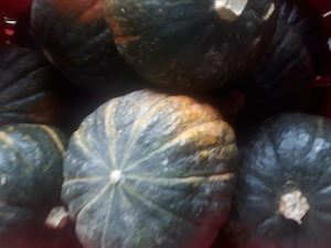 Organic Supermarket squash pumpkin Early Bird Organics