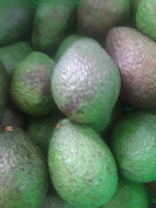 Products: Avocado large Early Bird Organics