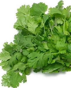 Organic Corriander Early Bird Organics