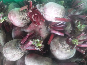 Organic Beetroot kg Early Bird Organics
