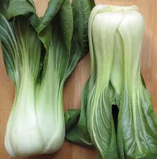Products: Organic Pak Choi bdl Early Bird Organics
