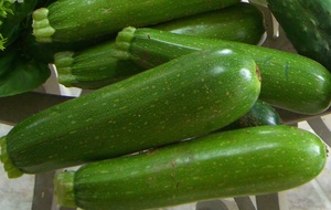 Products: Organic Zucchinis kg Early Bird Organics