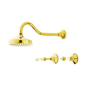 Rochelle Lever 6in Shower Set PVD