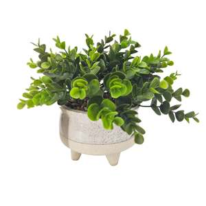 Potted Plants: De Fleurs Cream Potted Faux Money Plant 19cm