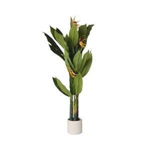 Potted Plants: Eden Bird of Paradise 150cm