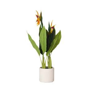 Eden Bird of Paradise 95cm
