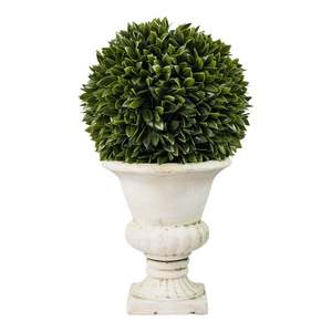 Potted Plants: De Fleurs Round Topiary Arrangement 41x25x25cm