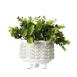 Potted Plants: De Fleurs Succulent Retro Cement Pot 20.3cm