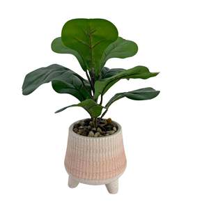 De Fluers Ombre Potted Faux Fiddle Plant 33cm