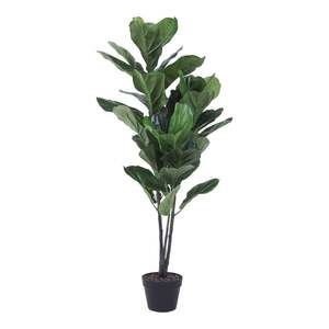 Potted Plants: Eden Potted Fiddle Leaf Tree 120cm