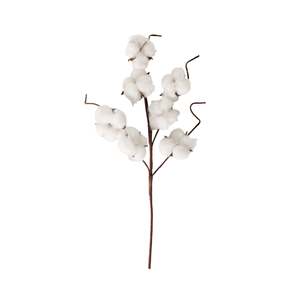 Bloomery Cotton Stem 43cm