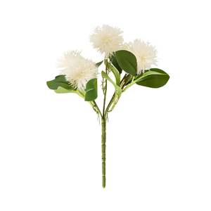 Bloomery Melaleuca Stem 25cm