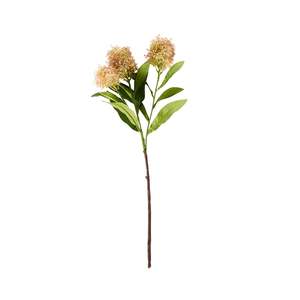 Stems Bunches: Bloomery Viburnum Stem Pink 57cm