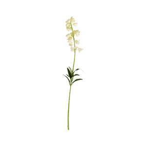 Stems Bunches: Bloomery Bellflower Stem 96cm