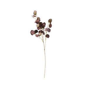 Stems Bunches: Bloomery Plum Eucalyptus Stem 102cm