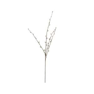 Stems Bunches: Bloomery Pussy Willow Stem 95cm
