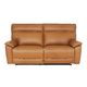 Dillon 3 Seater Leather Recliner Dakota Light Chestnut