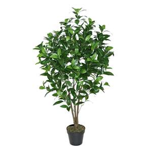 Potted Plants: Eden Potted Faux Bay Tree 120cm