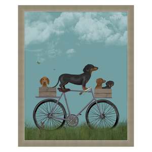 Prints Paintings: Dachshunds On Bicycle Framed Print 55x45cm