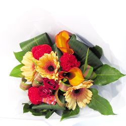 Flowers: Tahuna Sunset