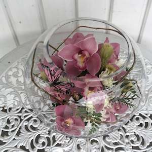 Flowers: Orchids in glass