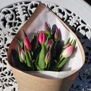 Simply Tulips