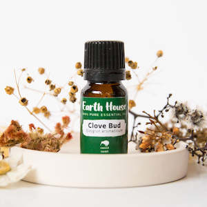 Frontpage: Clove Bud