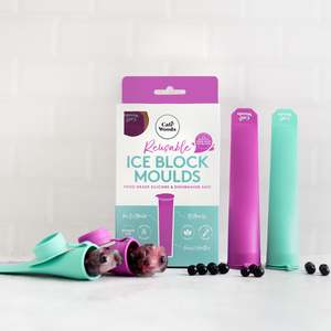 Kitchen: Ice Block Moulds