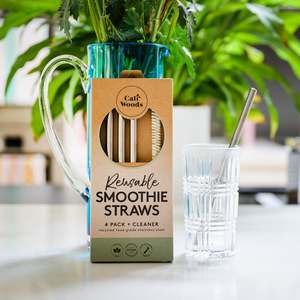 Kitchen: Smoothie Straw Pack