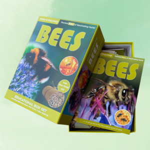 Childrens Learn Play: World Of Discovery Bees