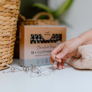 Stainless Clothing Pegs