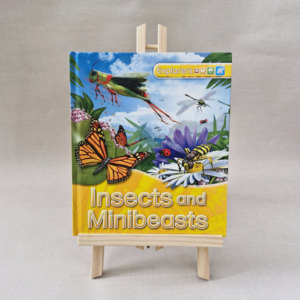Insects and Minibeasts