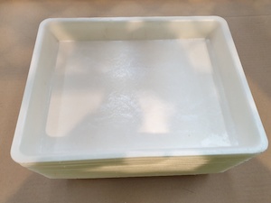 Products: Medical/General Use Tray (Large) (25) - earthpac